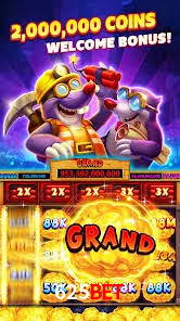 Experiência VIP 625bet